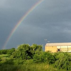 Meet your Posher, Ann